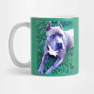 Blue Nose Pit Bull Dog Mug